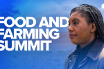 Kemi Hosts Emergency Farming Summit